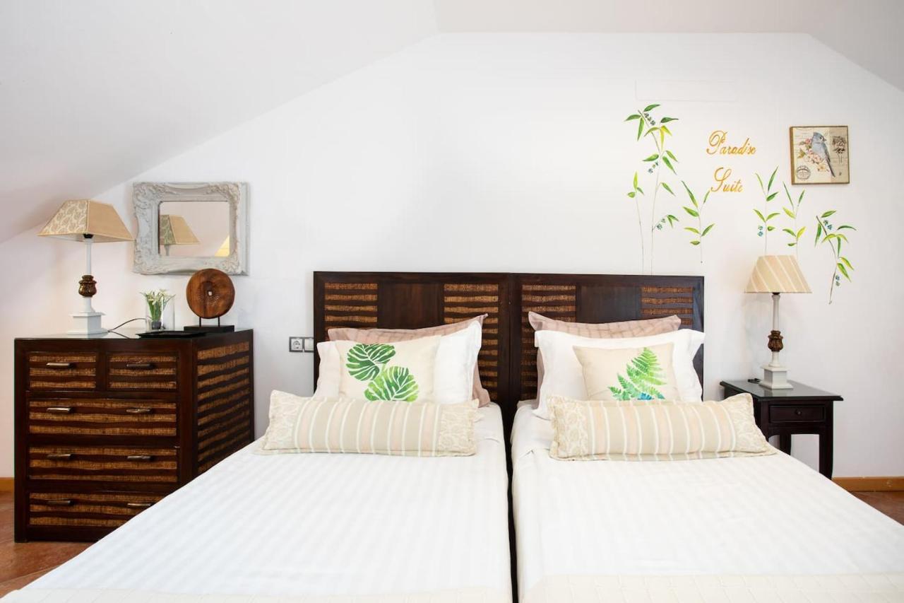 The Paradise Suites By Anne, Cozy Apartment In Adeje アデヘ エクステリア 写真